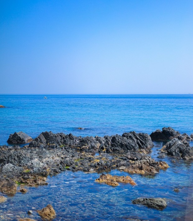 테스트030 배구공구배구공구배구공구배구공구배구공구배구공구배구공구배구공구배구공구배구공구배구공구배구공구배구공구배구공구배구공구배구공구배구공구배구공구배구공구배구공구배구공구배구공구배구공구배구공구배구공구배구공구배구공구배구공구배구공구배구공구배구공구배구공구배구공구배구공구배구공구배구공구배구공구배구공구배구공구배구공구배구공구배구공구배구공구배구공구배구공구배구공구배구공구배구공구배구공구배구공구배구공구배구공구배구공구배구공구배구공구배구공구배구공구배구공구배구공구배구공구배구공구배구공구